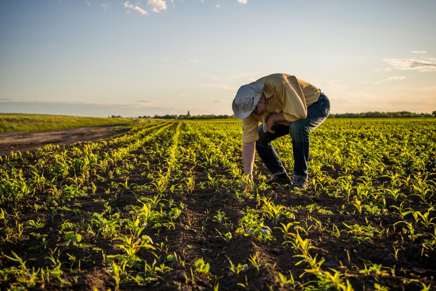Local farmers recognised at inaugural PepsiCo Global Farmer Awards